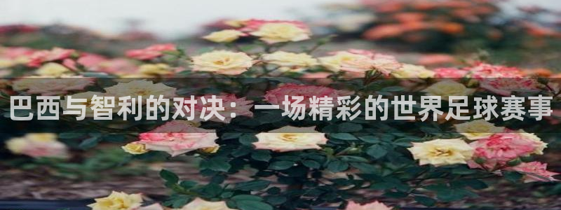 世界杯官网入口：巴西与智利的对决：一场精彩的世界足球赛事