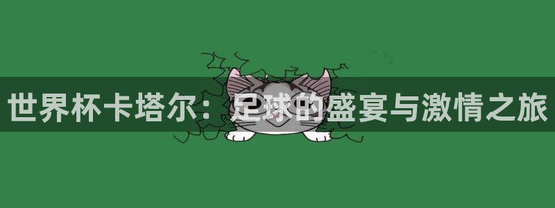 2026世界杯南美区积分榜：世界杯卡塔尔：足球的盛宴与激情之旅