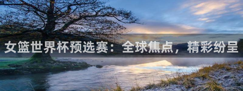 世界杯赛程2026：女篮世界杯预选赛：全球焦点，精彩纷呈