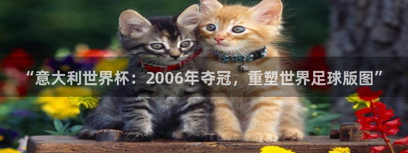 世界杯第一场比赛：“意大利世界杯：2006年夺冠，重塑世界足球版图”