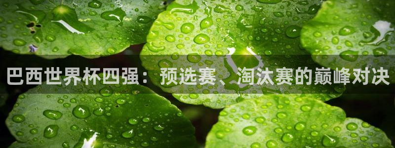 世预赛直播：巴西世界杯四强：预选赛、淘汰赛的巅峰对决