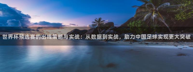 世界杯预选赛赛程表：世界杯预选赛的出线策略与实战：从数据到实战，助力中国足球实现更大突破