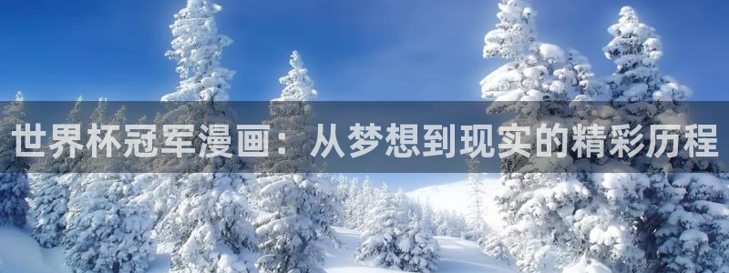 世界杯预选赛欧洲赛区赛程：世界杯冠军漫画：从梦想到现实的精彩历程