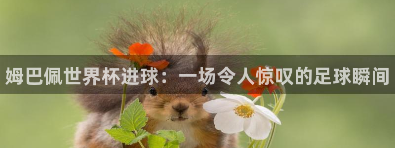 足球世界杯预选赛：姆巴佩世界杯进球：一场令人惊叹的足球瞬间