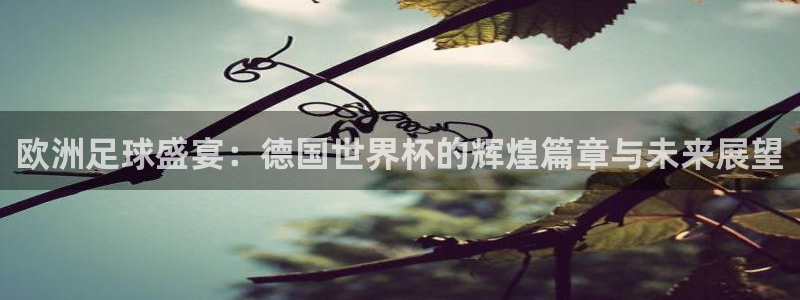 2006年世界杯冠军：欧洲足球盛宴：德国世界杯的辉煌篇章与未来展望