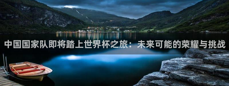 看世界杯：中国国家队即将踏上世界杯之旅：未来可能的荣耀与挑战