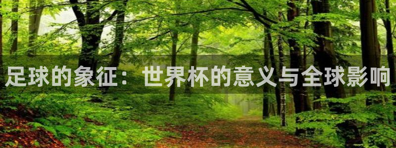 男足世界杯预选赛赛程：足球的象征：世界杯的意义与全球影响