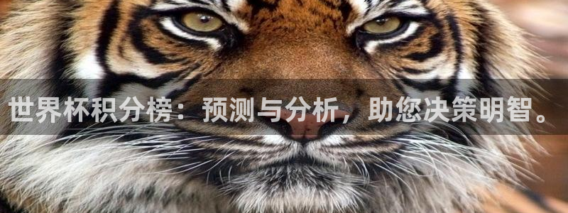 2026世界杯买球：世界杯积分榜：预测与分析，助您决策明智。