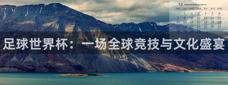 世界杯比赛直播：足球世界杯：一场全球竞技与文化盛宴