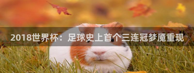 欧洲世界杯预选赛赛程：2018世界杯：足球史上首个三连冠梦魇重现